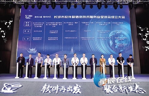 长沙软件和信息技术服务企业速看 政府政策红利集中释放